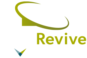 Data Revive 颜色